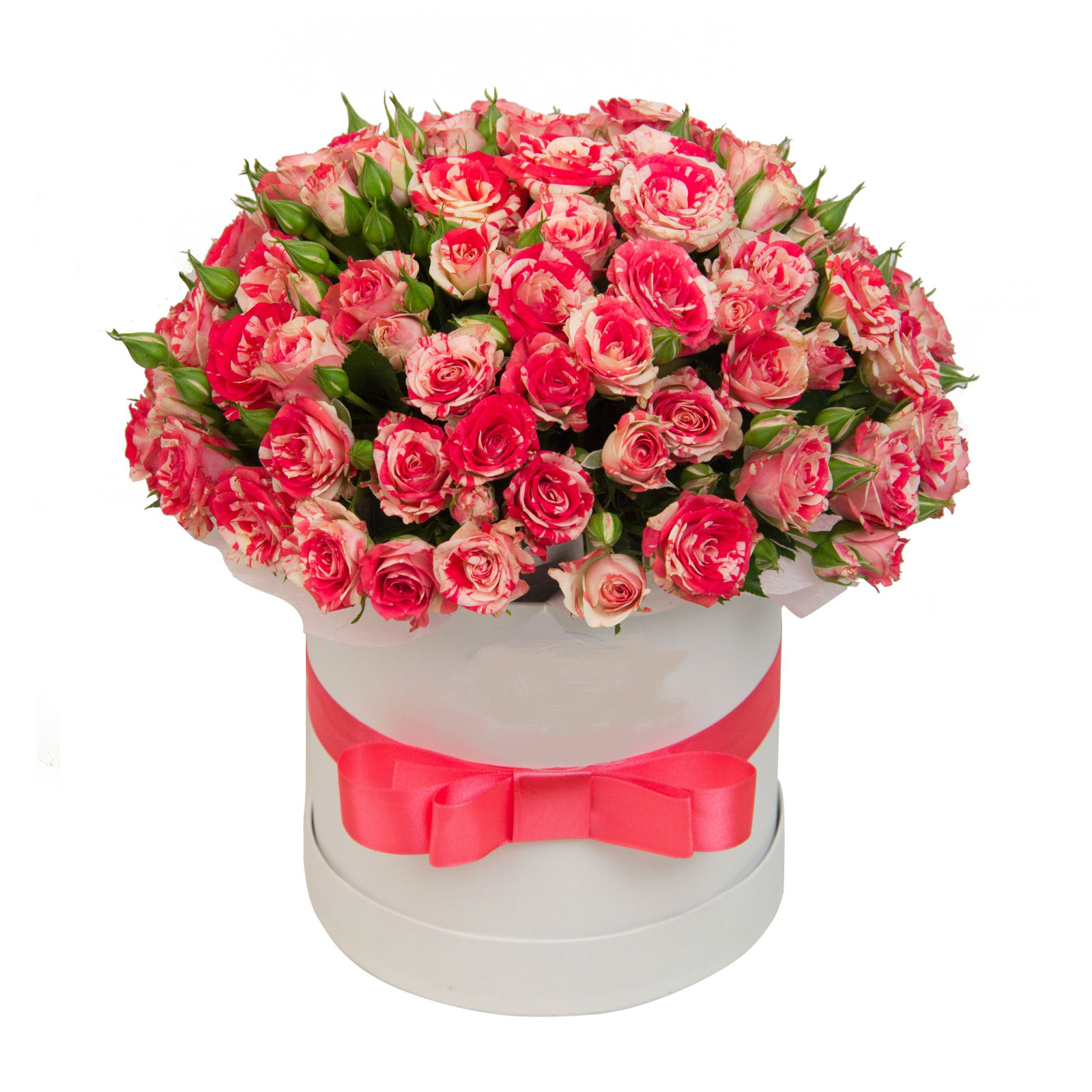 Цена розочки. Кустовые розы букет в шляпной коробке. Букет из кустовых роз в шляпной коробке. Букет из кустовой розы в коробке.
